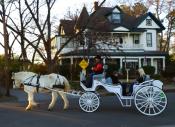 Holiday carriage rides through historic district. 